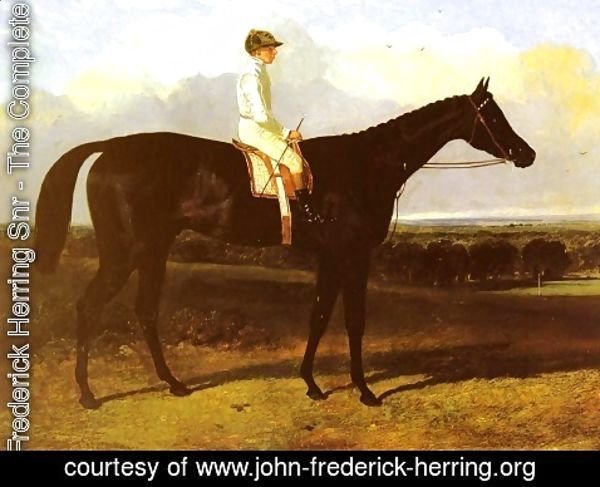 John Frederick Herring Snr - "Jonathan Wild", a drak bay Race Horse, at Goodwood, T. Ryder up