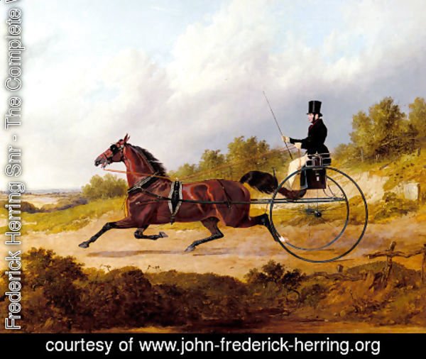 John Frederick Herring Snr - The Famous Trotter Confidence Drawing A Gig