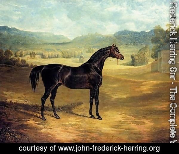 John Frederick Herring Snr - The Bay Stallion Jack Spigot