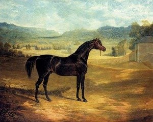 John Frederick Herring Snr - The Bay Stallion Jack Spigot