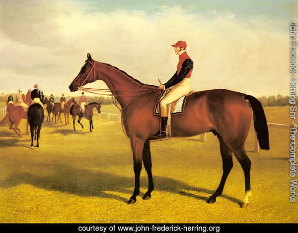 Don John, The Winner of the 1838 St. Leger with William Scott Up