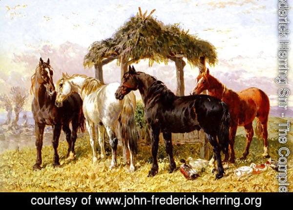 John Frederick Herring Snr - Horses and Ducks by a River