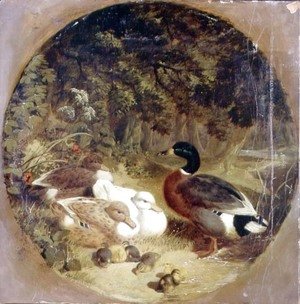 John Frederick Herring Snr - Ducks and Ducklings in a Wooded River Landscape