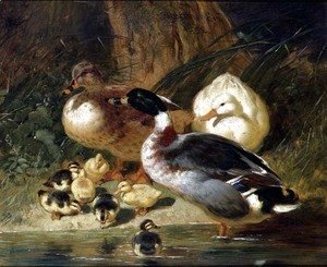 John Frederick Herring Snr - Ducks and Ducklings