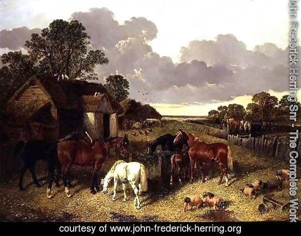 Horses, Pigs, Poultry, Duck and Cattle in a Farmyard