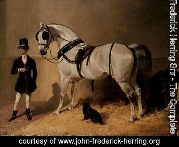 John Frederick Herring Snr - A St. James's Carriage Horse