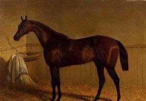John Frederick Herring Snr - 'Beeswing', a bay racehorse in a loosebox