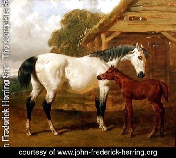 John Frederick Herring Snr - A Mare and Foal before a Barn, 1854