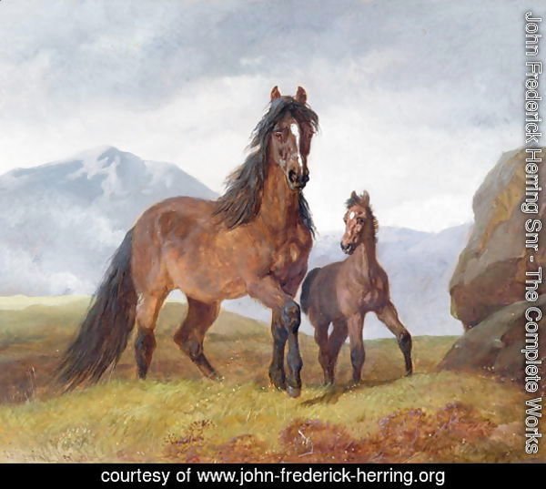 A Welsh Mountain Mare and Foal, 1854