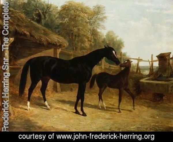 John Frederick Herring Snr - Levity, the property of J.C.Cockerill Esq., with her foal Queen Elizabeth, the property of Lord Dorchester, 1843