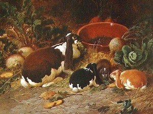 John Frederick Herring Snr - Fancy Rabbits, a Doe with her Young, 1863