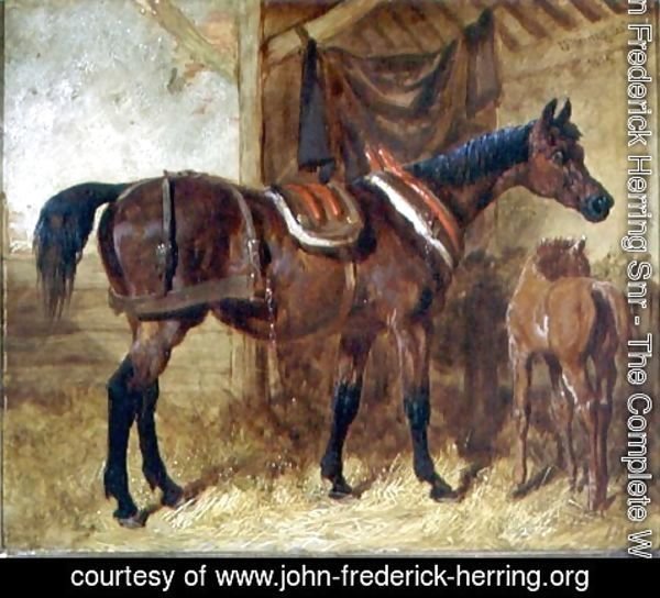 John Frederick Herring Snr - An Old Mare and Foal in a Stable, 1854