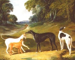 Greyhounds, 'Spot', 'Skylark', 'Nettle' and 'Sky', 1839