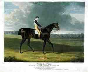 John Frederick Herring Snr - 'Filho da Puta', the Winner of the Great St. Leger at Doncaster, 1815