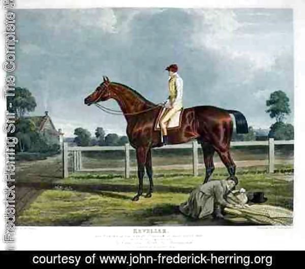 John Frederick Herring Snr - 'Reveller', the Winner of the Great St. Leger at Doncaster, 1818