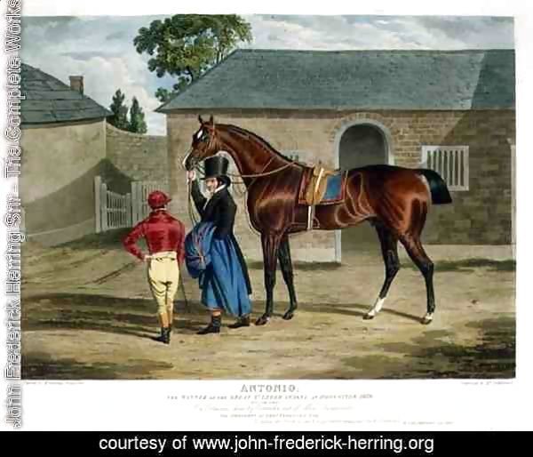 'Antonio', the Winner of the Great St. Leger at Doncaster, 1819