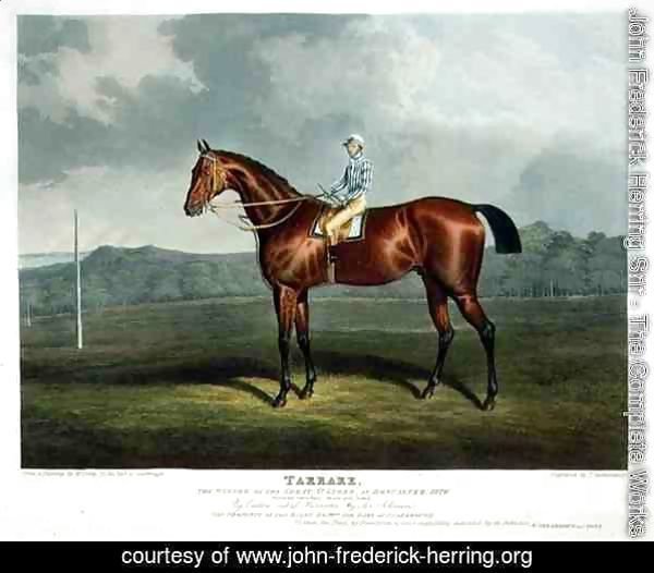 'Tarrare', the Winner of the Great St. Leger at Doncaster, 1826
