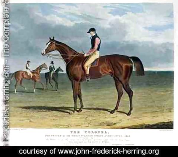 John Frederick Herring Snr - 'The Colonel', the Winner of the Great St. Leger Stakes at Doncaster, 1828