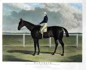 'Margrave', the Winner of the Great St. Leger Stakes at Doncaster, 1832