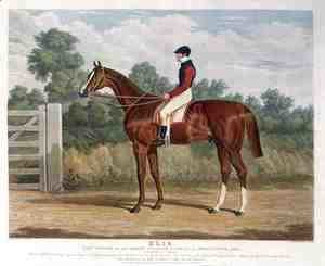 John Frederick Herring Snr - 'Elis', the Winner of the Great St. Leger Stakes at Doncaster, 1836