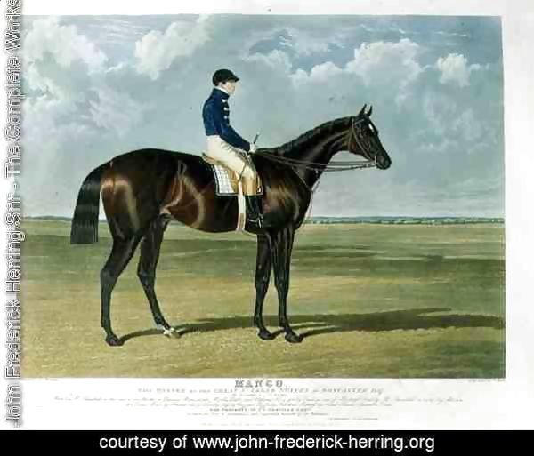 'Mango', the Winner of the Great St. Leger Stakes at Doncaster, 1837