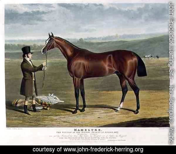 'Mameluke', the Winner of the Derby Stakes at Epsom, 1827
