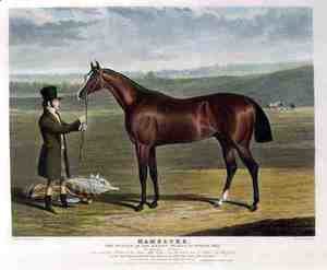 'Mameluke', the Winner of the Derby Stakes at Epsom, 1827