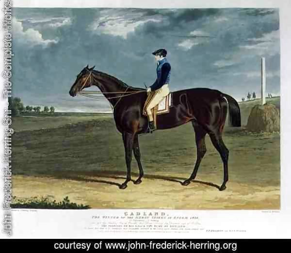 'Cadland', the Winner of the Derby Stakes at Epsom, 1828
