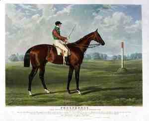 'Phosphorus', the Winner of the Derby Stakes at Epsom, 1837