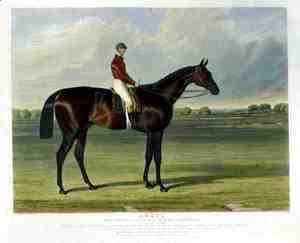 John Frederick Herring Snr - 'Amato', the Winner of the Derby Stakes at Epsom, 1838