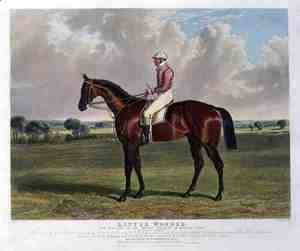 'Little Wonder', the Winner of the Derby Stakes at Epsom, 1840