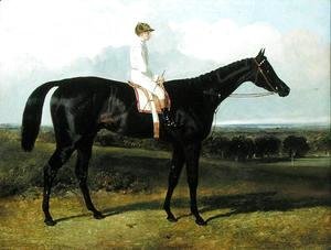 'Jonathan Wild', a Dark Bay Race Horse, at Goodwood, T. Ryder up, 1846