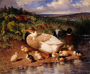 John Frederick Herring Snr - Ducks by a Stream, 1863