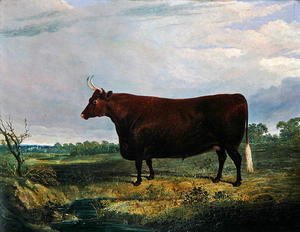 John Frederick Herring Snr - Portrait of a Brown Bull, 1831