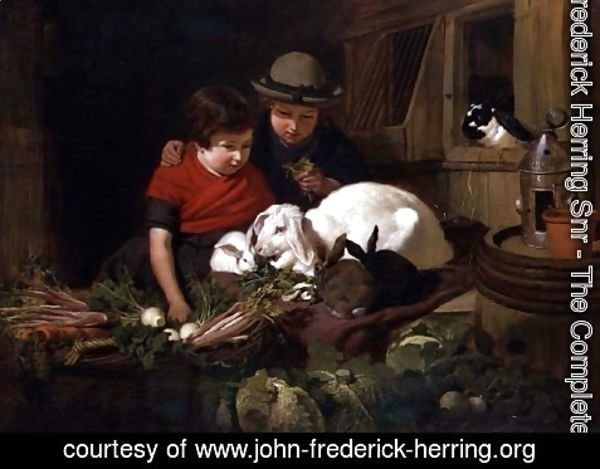 John Frederick Herring Snr - Rabbit Fanciers