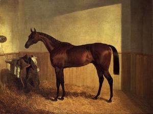 'The Merry Monarch', a bay racehorse, in a loosebox