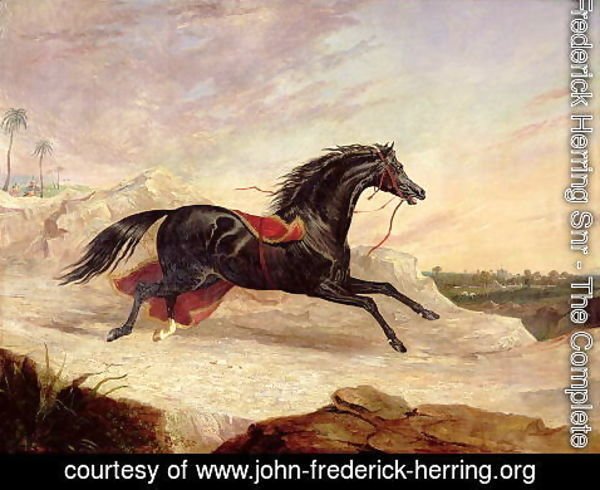 John Frederick Herring Snr - Arabs chasing a loose arab horse in an eastern landscape