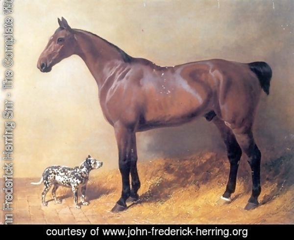 A Bay Hunter and Spotted Dog in a Stable 1846