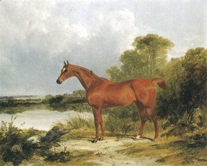 John Frederick Herring Snr - A Chestnut Hunter 1838