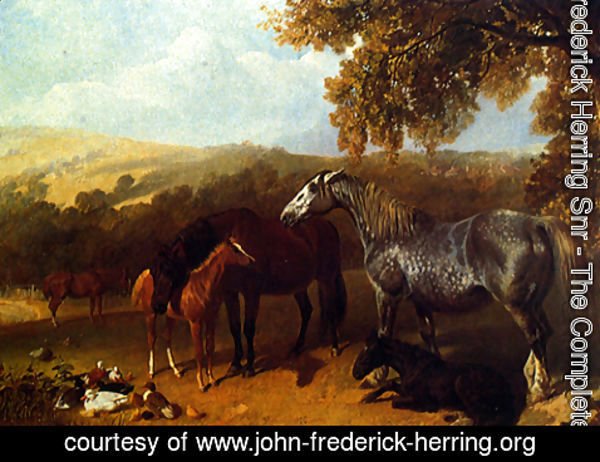 John Frederick Herring Snr - A Farmyard With Numerous Animals