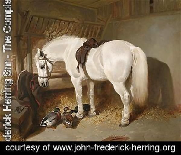 John Frederick Herring Snr - A grey pony in a stable with ducks