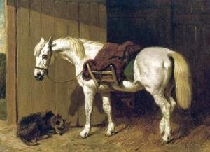 A Grey Pony with a Dog by Stable Door