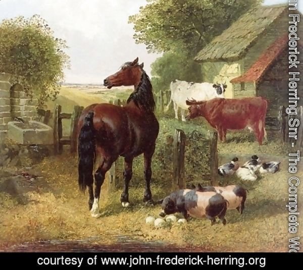 A Horse, Pigs, Cows and Ducks