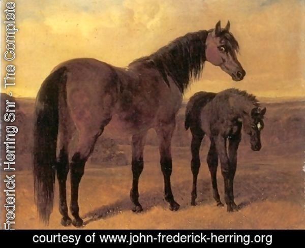 John Frederick Herring Snr - A Mare and Her Foal in a Landscape