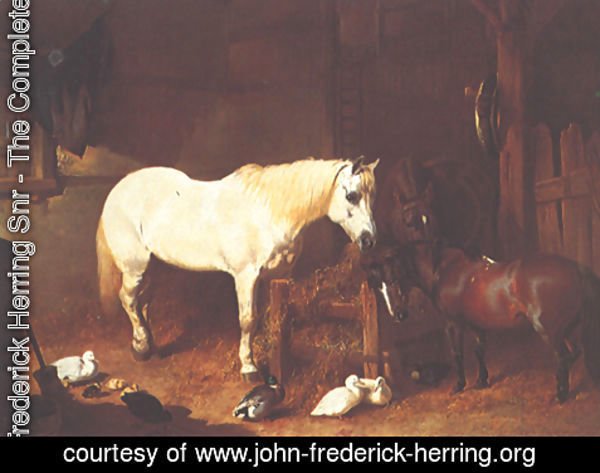 John Frederick Herring Snr - After Work