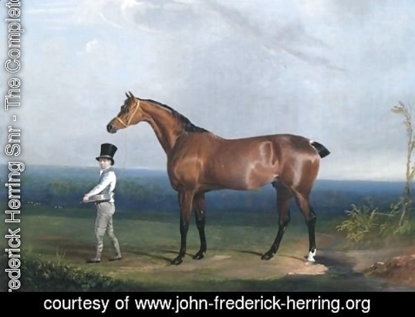 John Frederick Herring Snr - Bay Hunter Of William Hatfield
