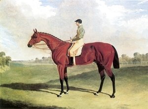 Bay Middleton With Jockey Up at Six Mile Bottom 1836