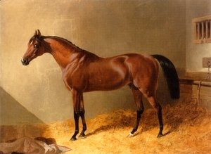 John Frederick Herring Snr - Bay Stallion in Stable