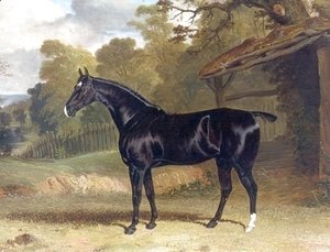 John Frederick Herring Snr - Black Tom a Black Hunter Beside a Stable 1830