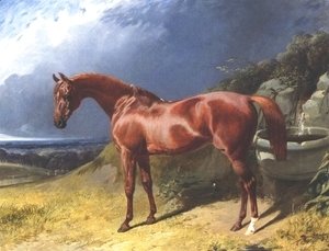 John Frederick Herring Snr - Chestnut A Racehorse